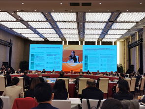 國(guó)際 智囊團(tuán) 齊聚雁棲湖,為北京服務(wù)貿(mào)易建言